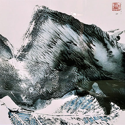 LES MONOTYPES